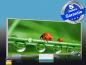 Preview: 3d Ansicht Bildheizung