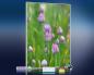 Preview: 3d Ansicht Bildheizung