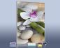 Preview: 3d Ansicht Bildheizung