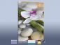 Preview: 3d Ansicht Bildheizung