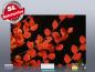 Preview: rahmenlos slim-line