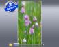 Preview: Frontalansicht Bildheizung 60 x 100 cm "Schnittlauch"
