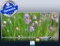 Preview: Frontalansicht Bildheizung