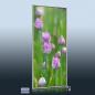 Preview: 3d Ansicht Bildheizung