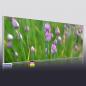 Preview: 3d Ansicht Bildheizung