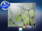Preview: Infrarot Bildheizung 400 Watt 70x60 M10-SL Pusteblumen