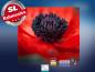 Preview: Infrarot Bildheizung 400 Watt 70x60 M10-SL Mohn