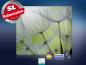 Preview: Infrarot Bildheizung 400 Watt 70x60 M10-SL Pusteblumen