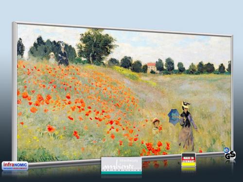 Preview: 3d Ansicht Bildheizung