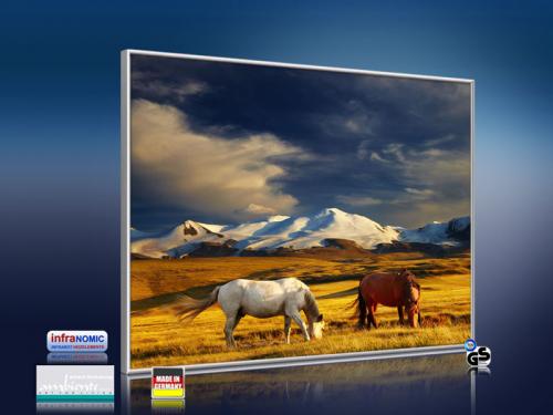 Preview: 3d Ansicht Bildheizung