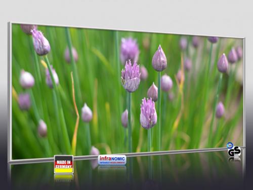 Preview: 3d Ansicht Bildheizung