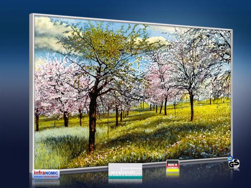 Preview: 3d Ansicht Bildheizung