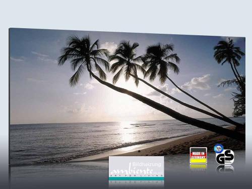 Preview: 3d Ansicht Bildheizung