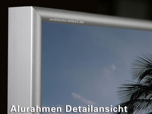 Preview: Standard Rahmen M10 Alu gebürstet