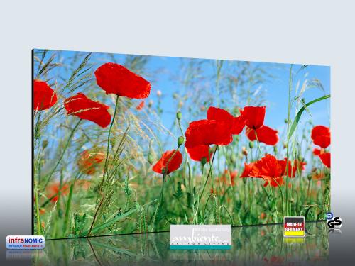 Preview: 3d Ansicht Bildheizung