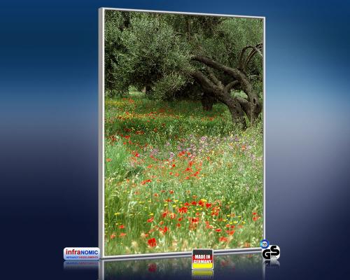 Preview: 3d Ansicht Bildheizung 