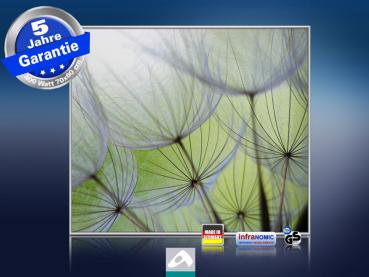 Infrarot Bildheizung 400 Watt 70x60 M10-SL Pusteblumen