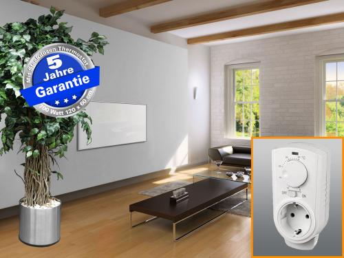 Infrarotheizung Glas weiß 700 Watt 120x60 cm - Rahmen M10 - mit Thermostat