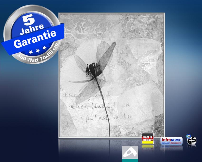 Ausführung mit Rahmen M10 Alu gebürstet