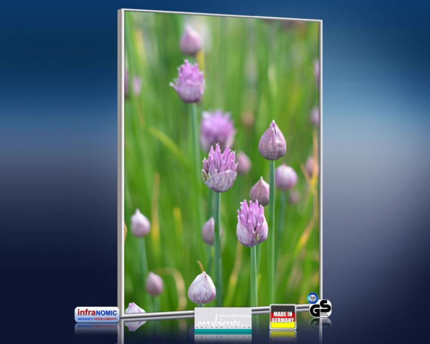 3d Ansicht Bildheizung
